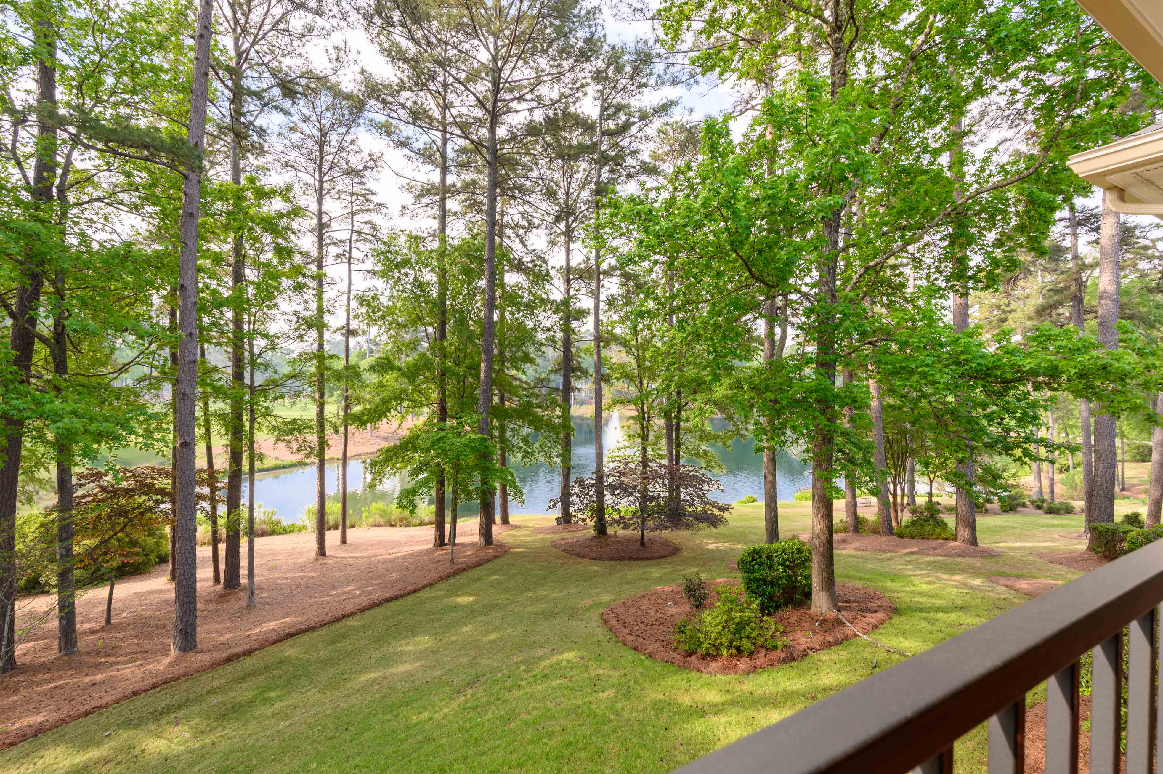 1041 Rowan's View image 12